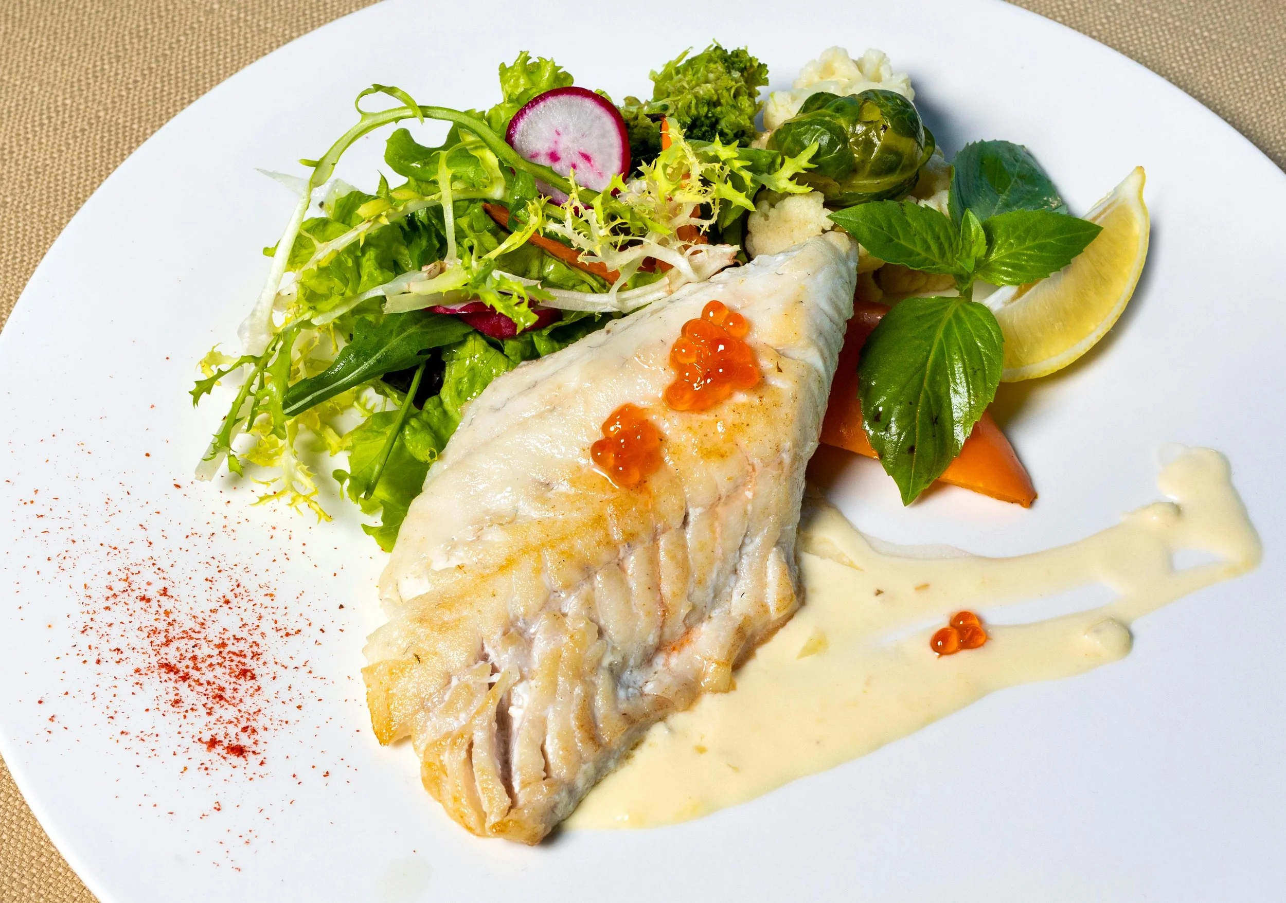 Barramundi Barramundi